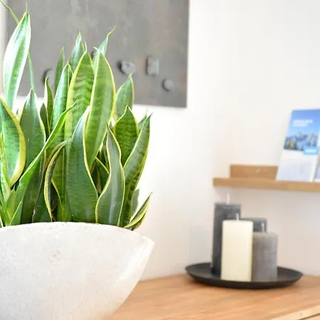 Berg' & Bluamen Stubai *